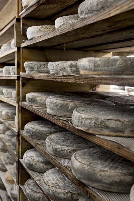 Saint-Nectaire fermier Puy-de-Dôme