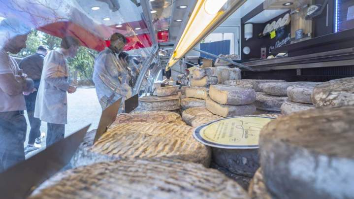 Saint-Nectaire fermier Puy-de-Dôme