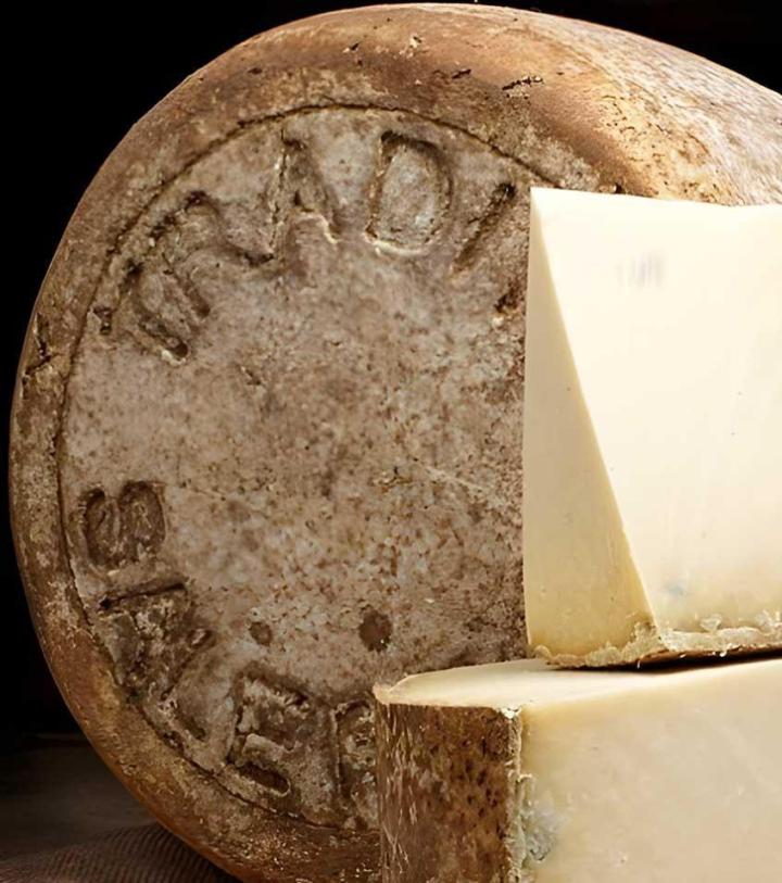 Expert en fromage Salers Puy-de-Dôme